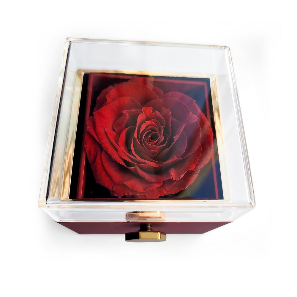 No Rain, No Flowers - I Hope You Believe In Your Self - Love Knot with Rotating Rose Gift Box