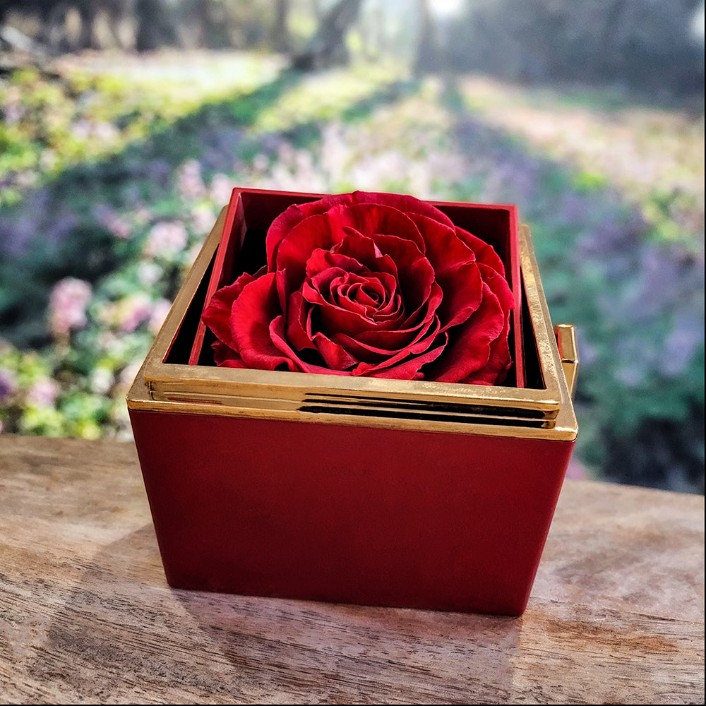 To My Beautiful Granddaughter - Love You Always & Forever - Love Knot with Rotating Rose Gift Box