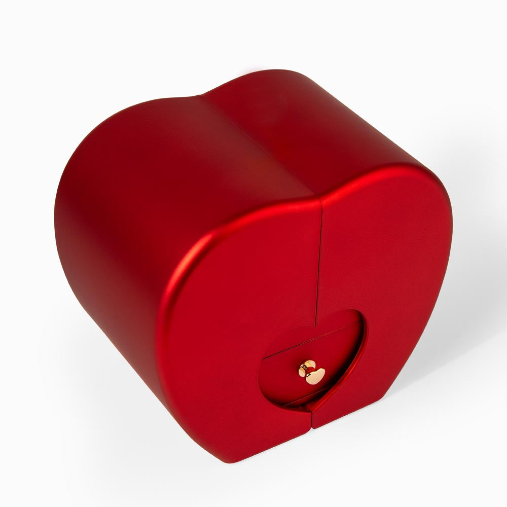 To My Wonderful Mom | Forever Constant | Forever Love Necklace with Red Heart Rose Box