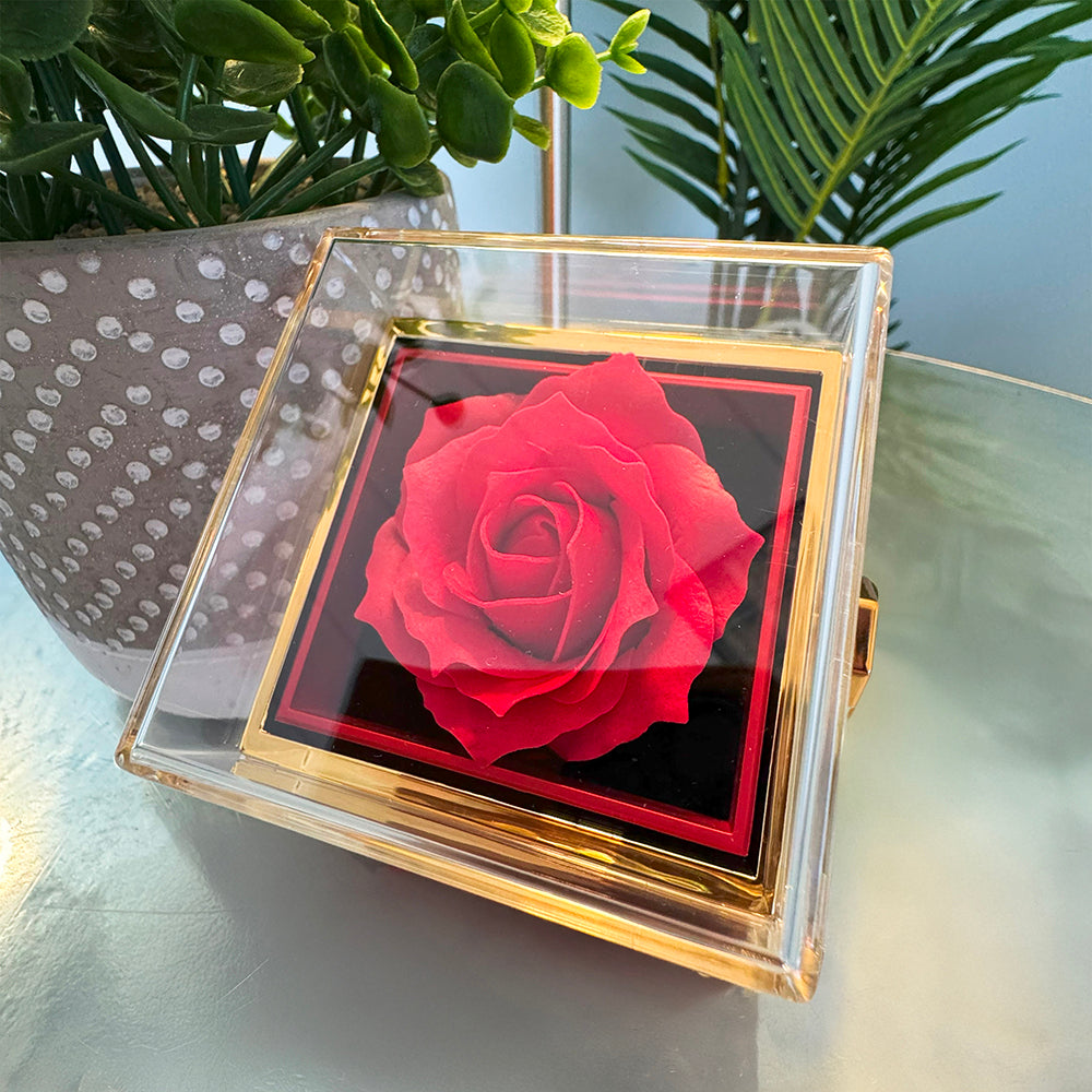 To My Beautiful Girlfriend - Forever Love Necklace With Rotating Rose Gift Box